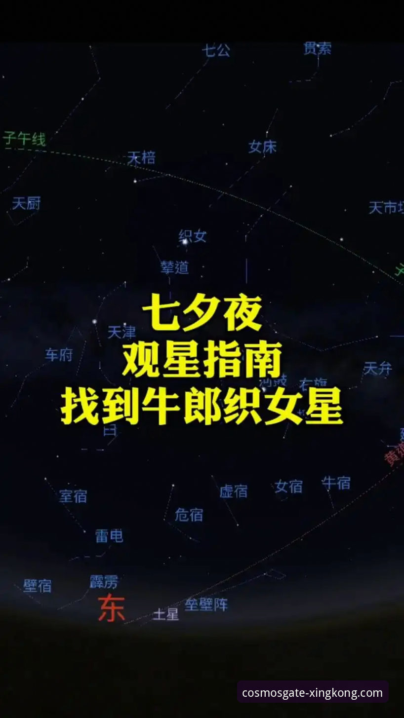 星空官方网站2026新版全面解析：从登录到体验的完整指南